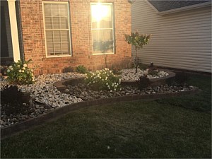 Landscaping